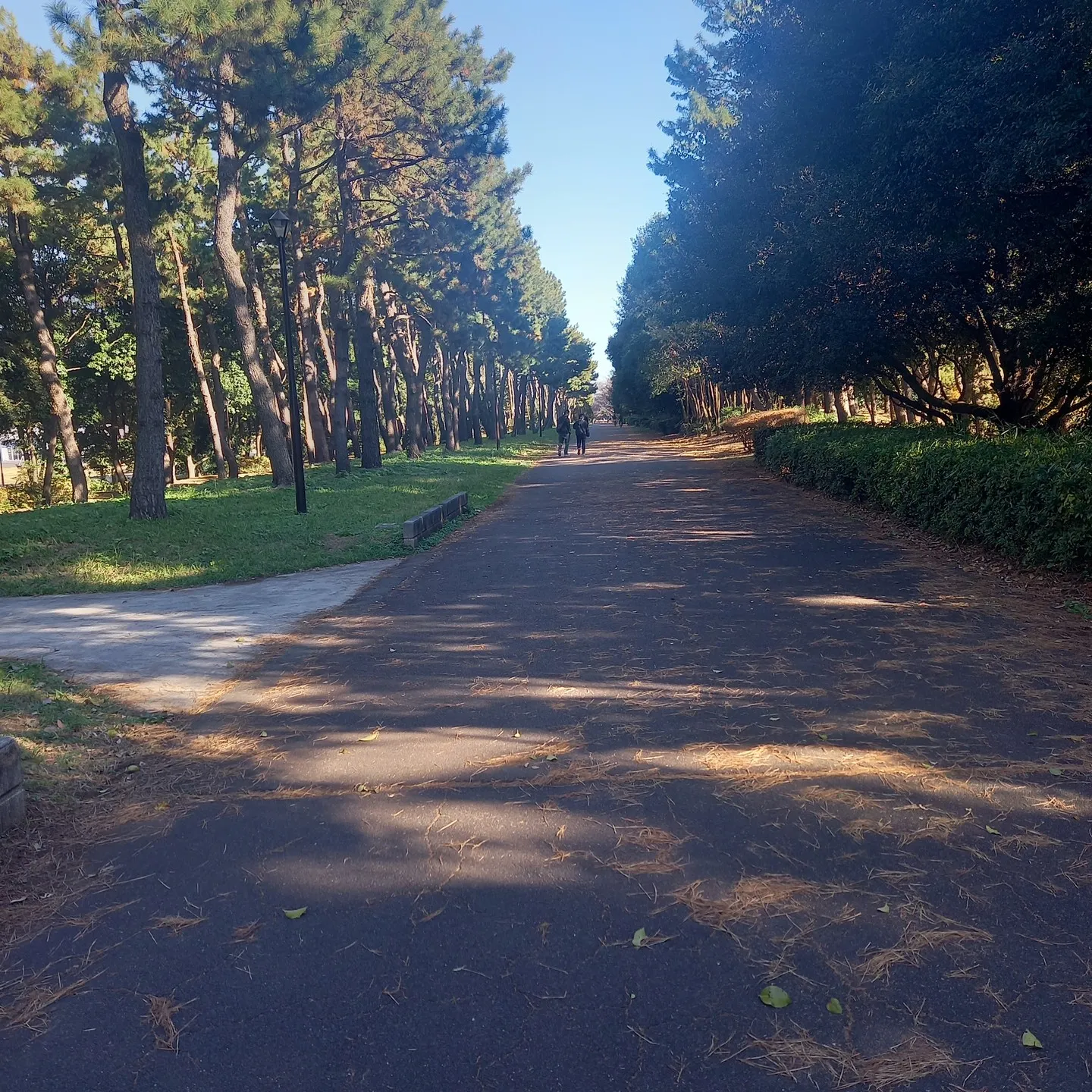 日本最大『級』の観覧車