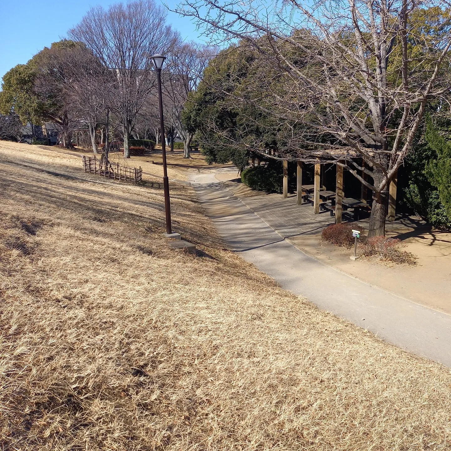 みんなで行けば、寒くない🌞