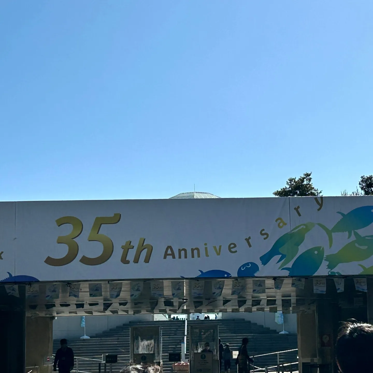 バレンタインデーは水族園🐠🦈へ