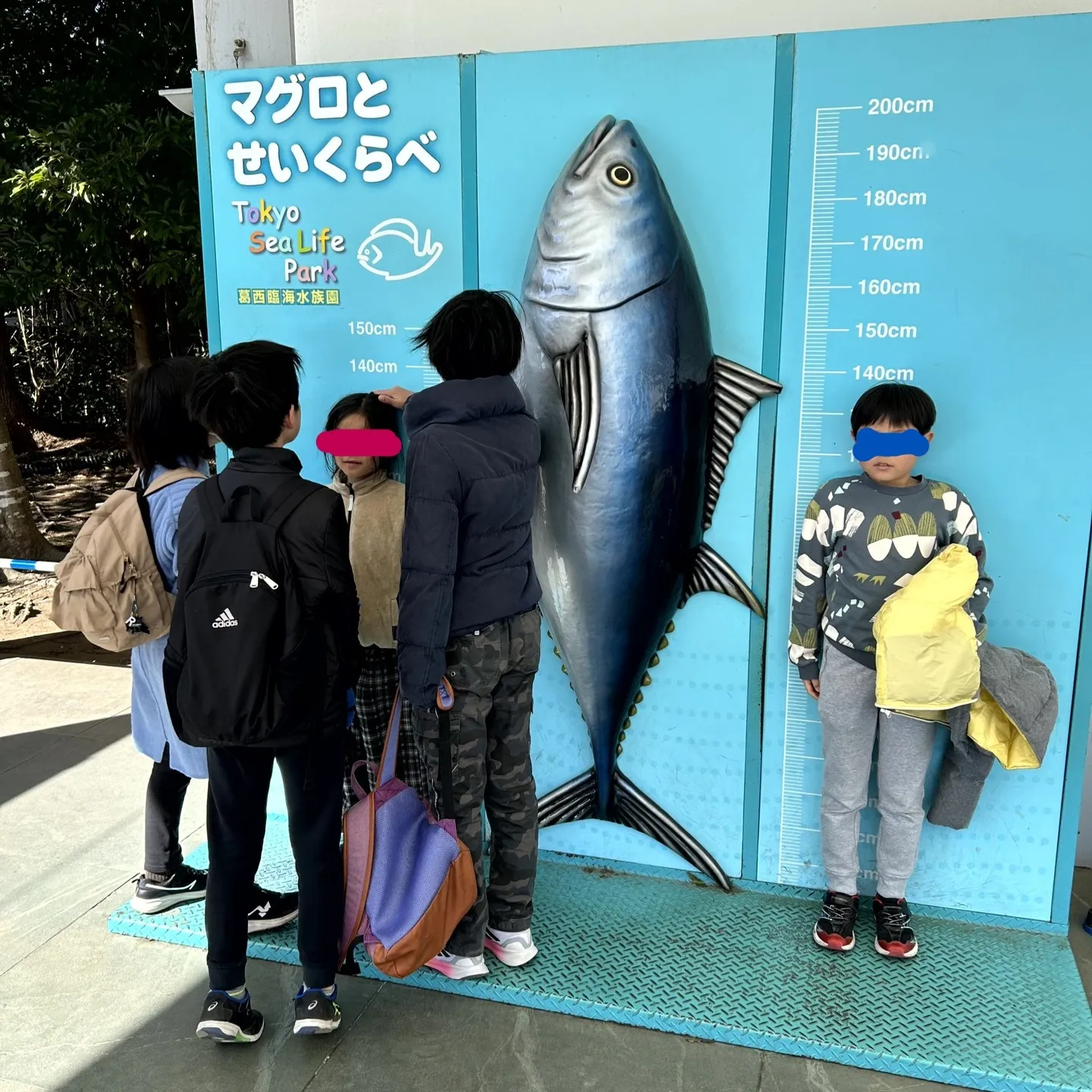 バレンタインデーは水族園🐠🦈へ