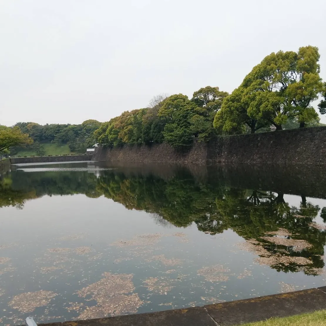国会議事堂見学ツアー　～新年度イベント第1弾～