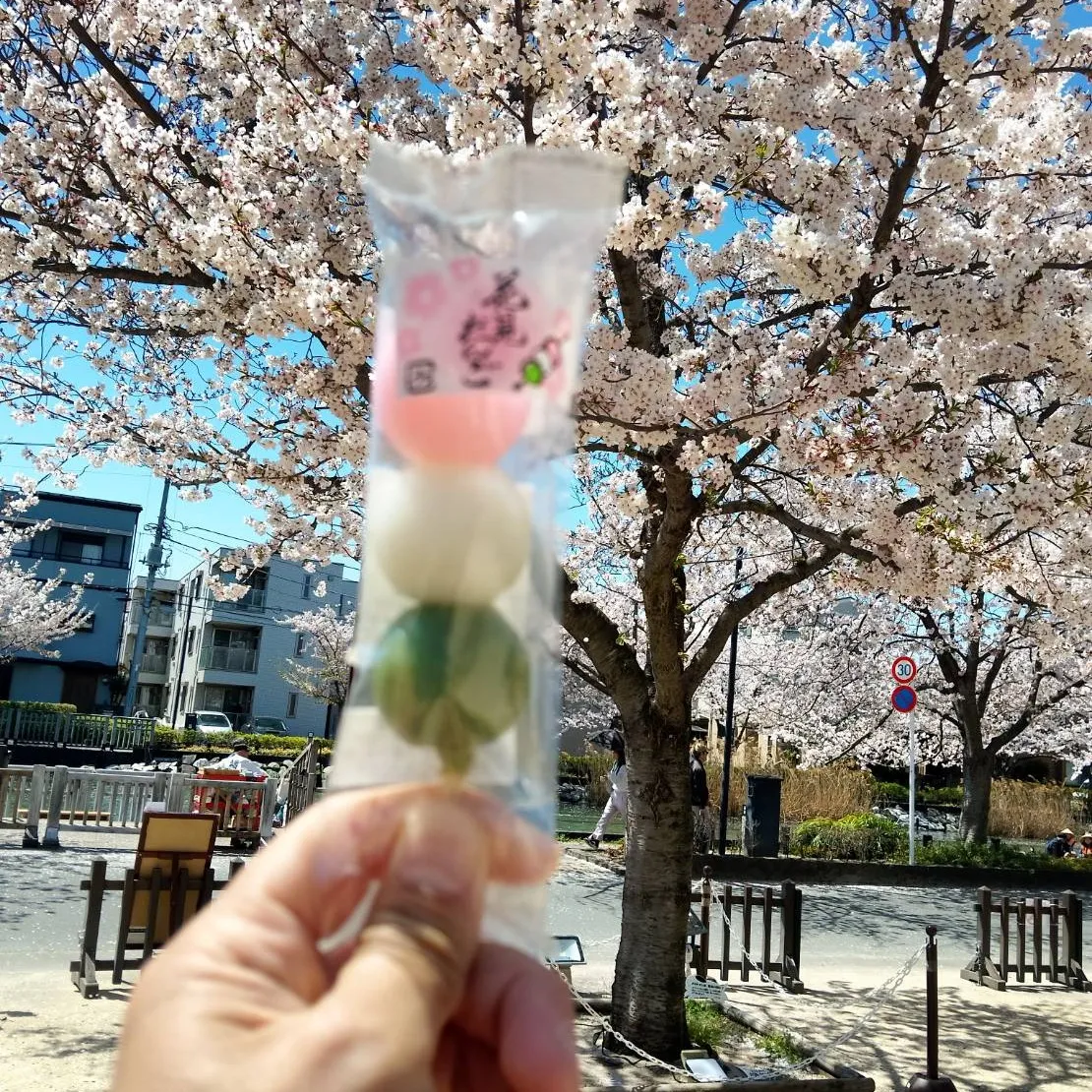 国会議事堂見学ツアー　～新年度イベント第1弾～