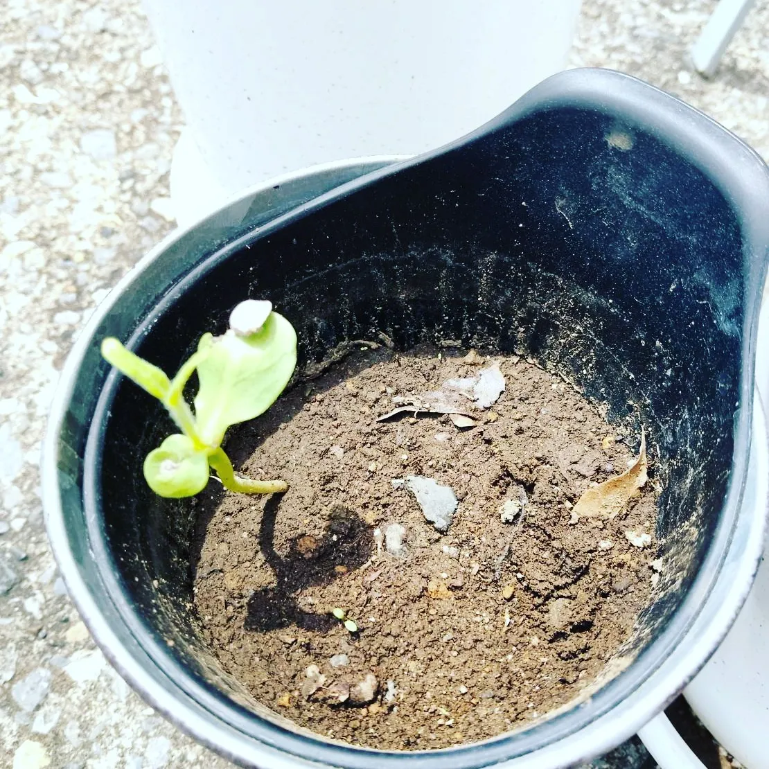 ダイヤモンドアート