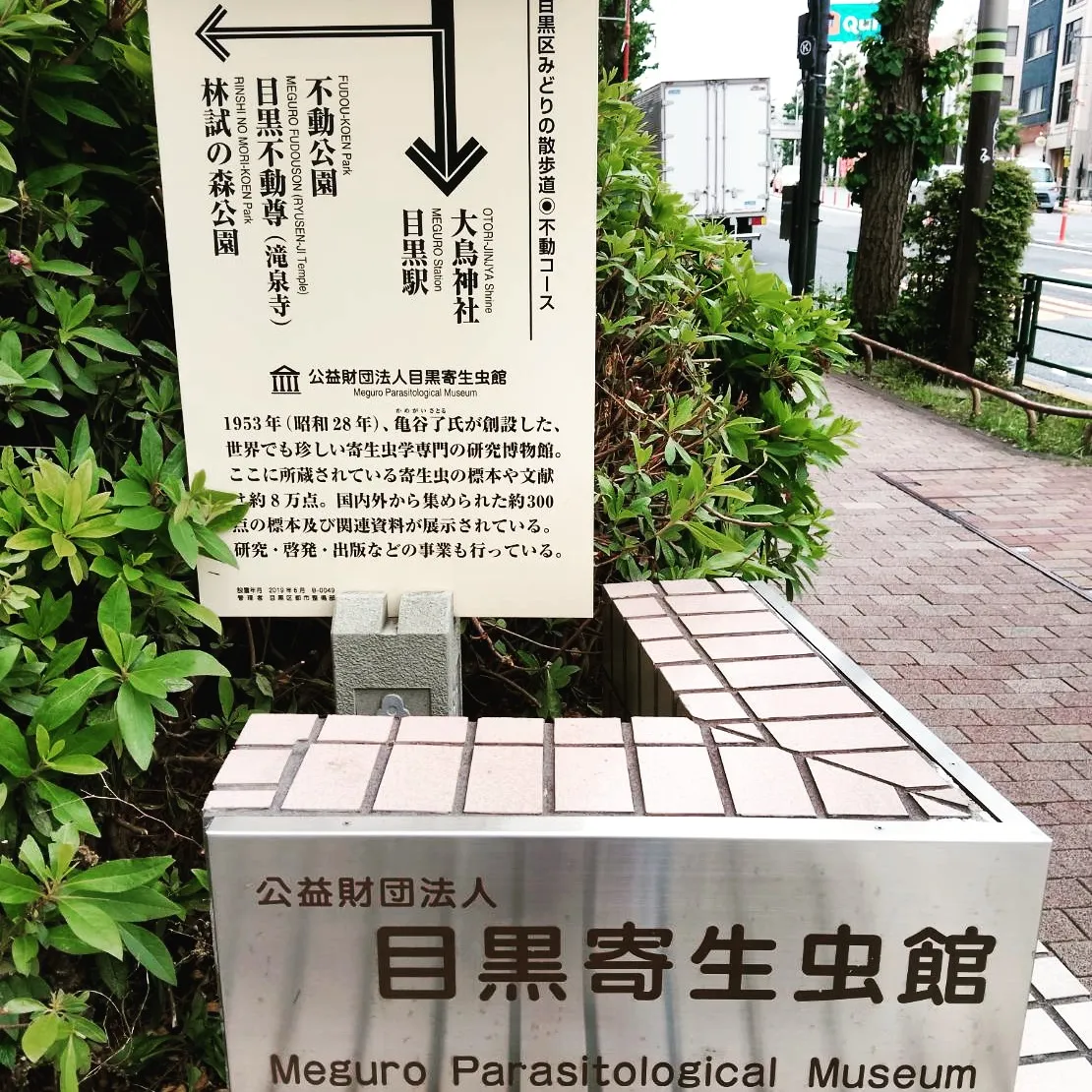 寄生虫博物館 5月金曜日イベント①