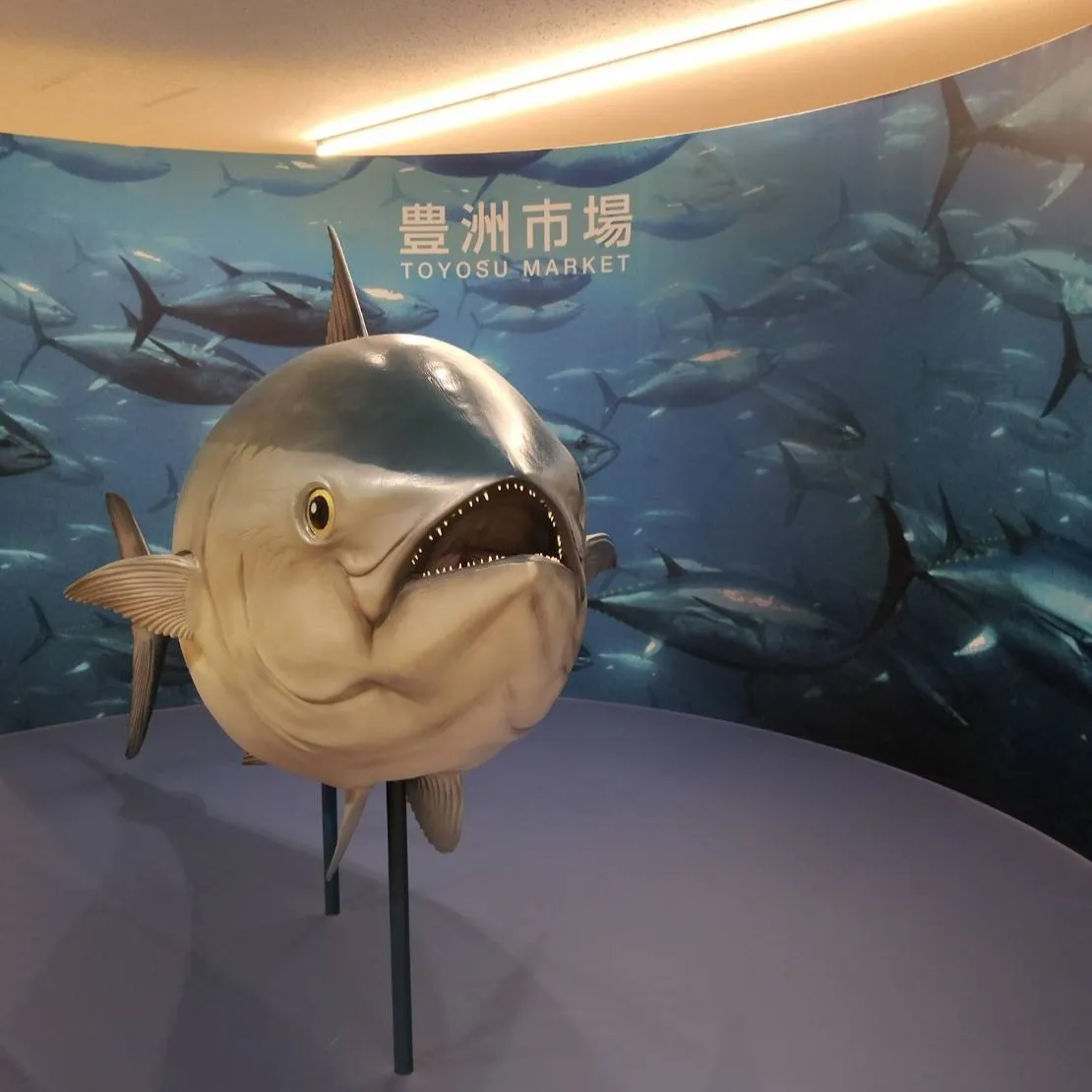 5月金曜日イベント③　豊洲市場見学