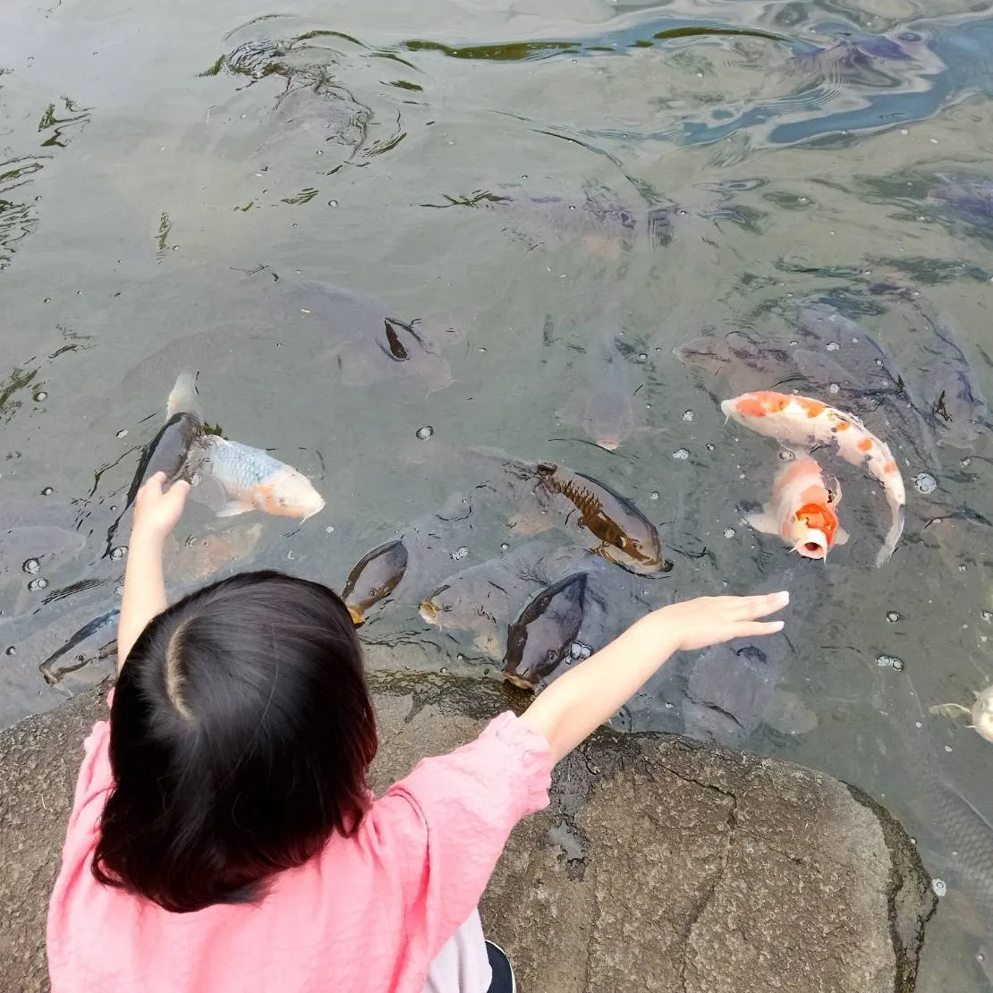 ムシの日にカナヘビさんがやってきた🦎