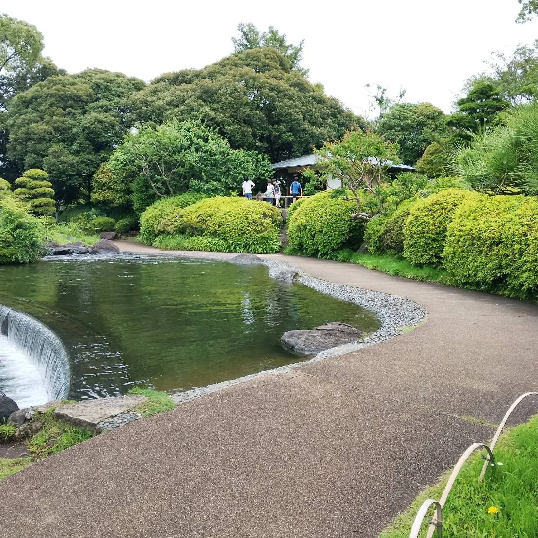 ムシの日にカナヘビさんがやってきた🦎