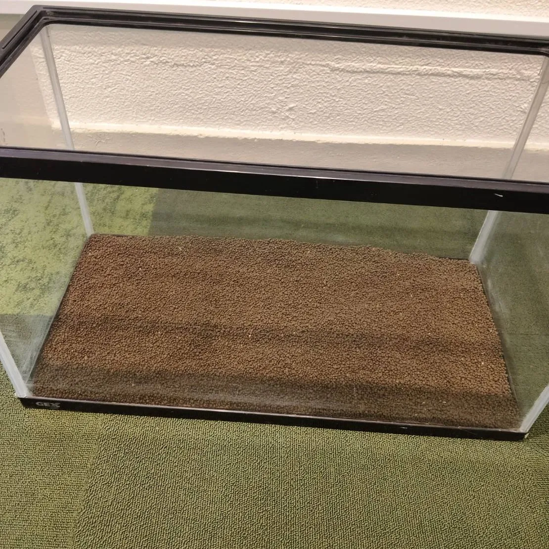 Labヘビ一家　お引越し🏰