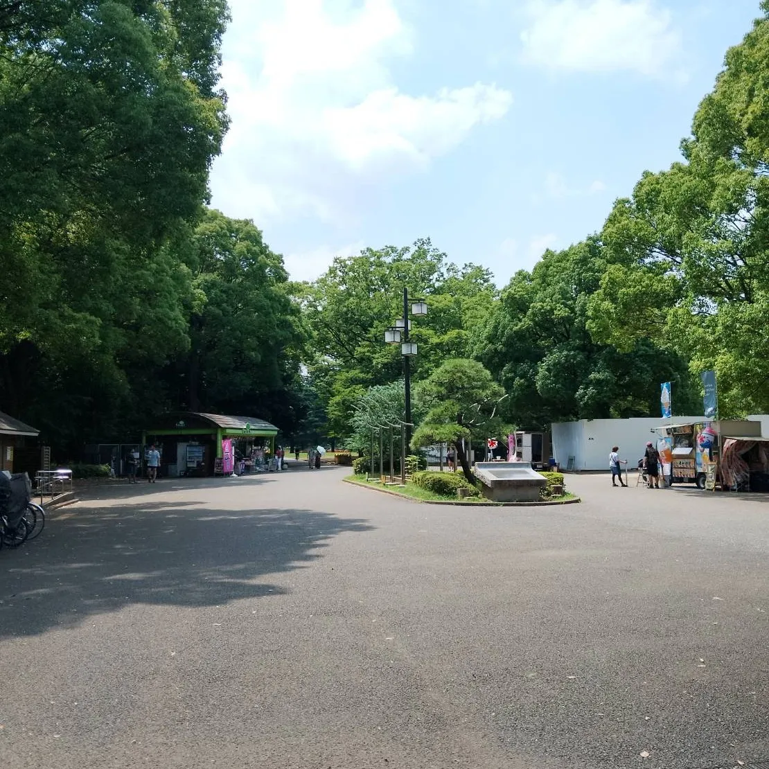 Galaxy原宿でチームラボ体験📱