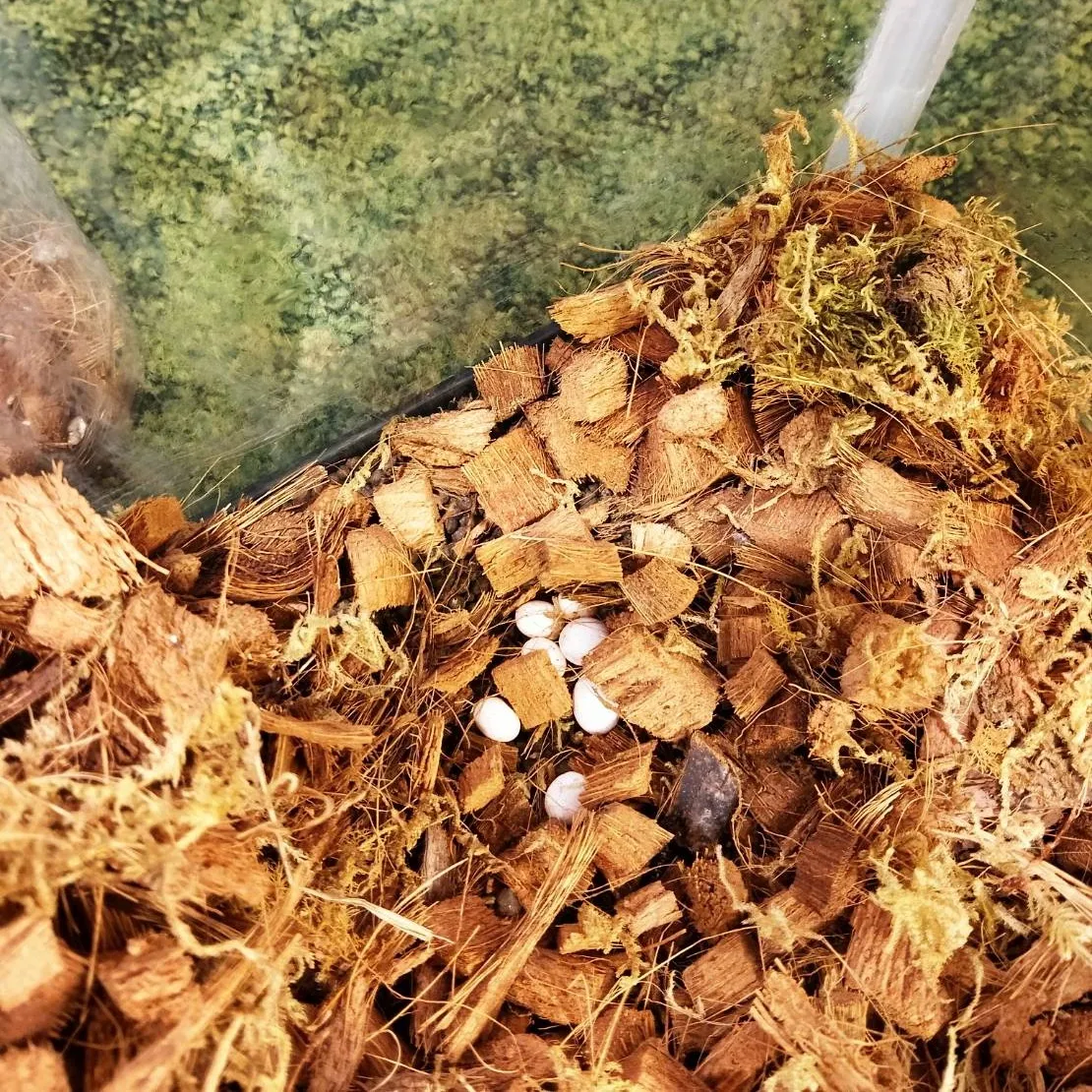 防災体験学習 そなエリア東京 ~7月金曜日イベント~