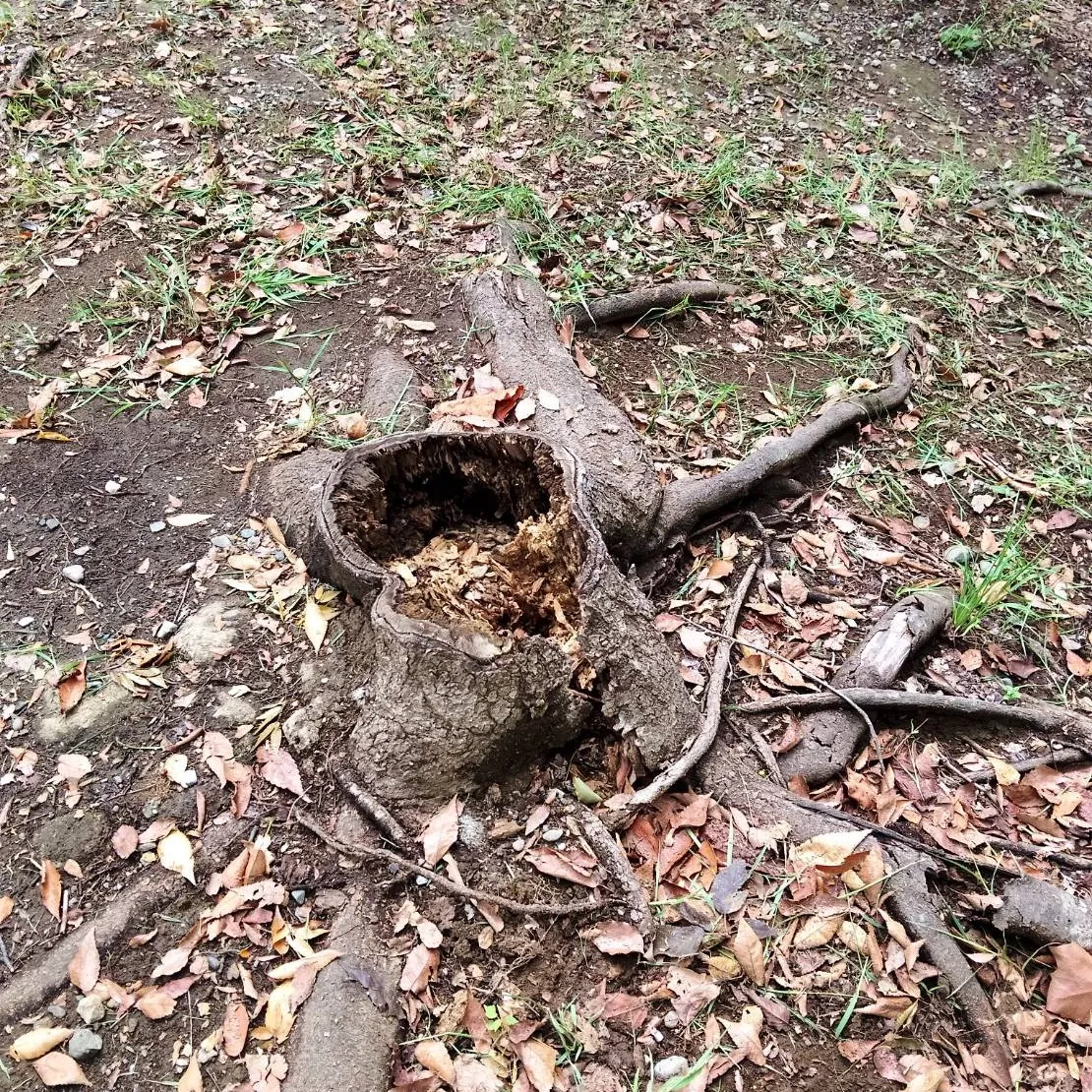 9月金曜日イベント②