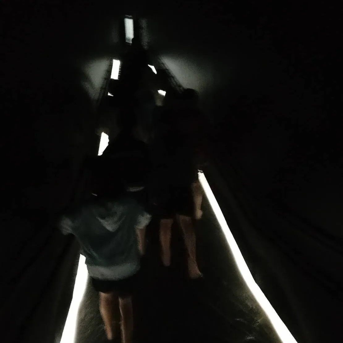 2025年最後のお出かけイベント😊